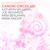 b'CD cover'