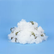 b'CD cover'